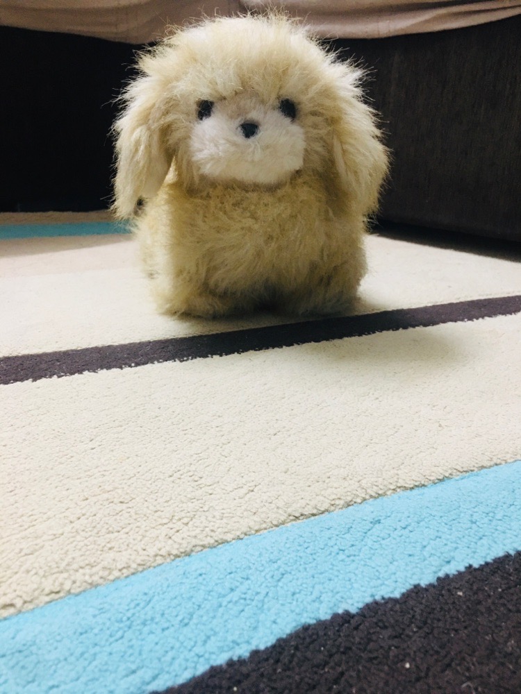 Peluche chiot 