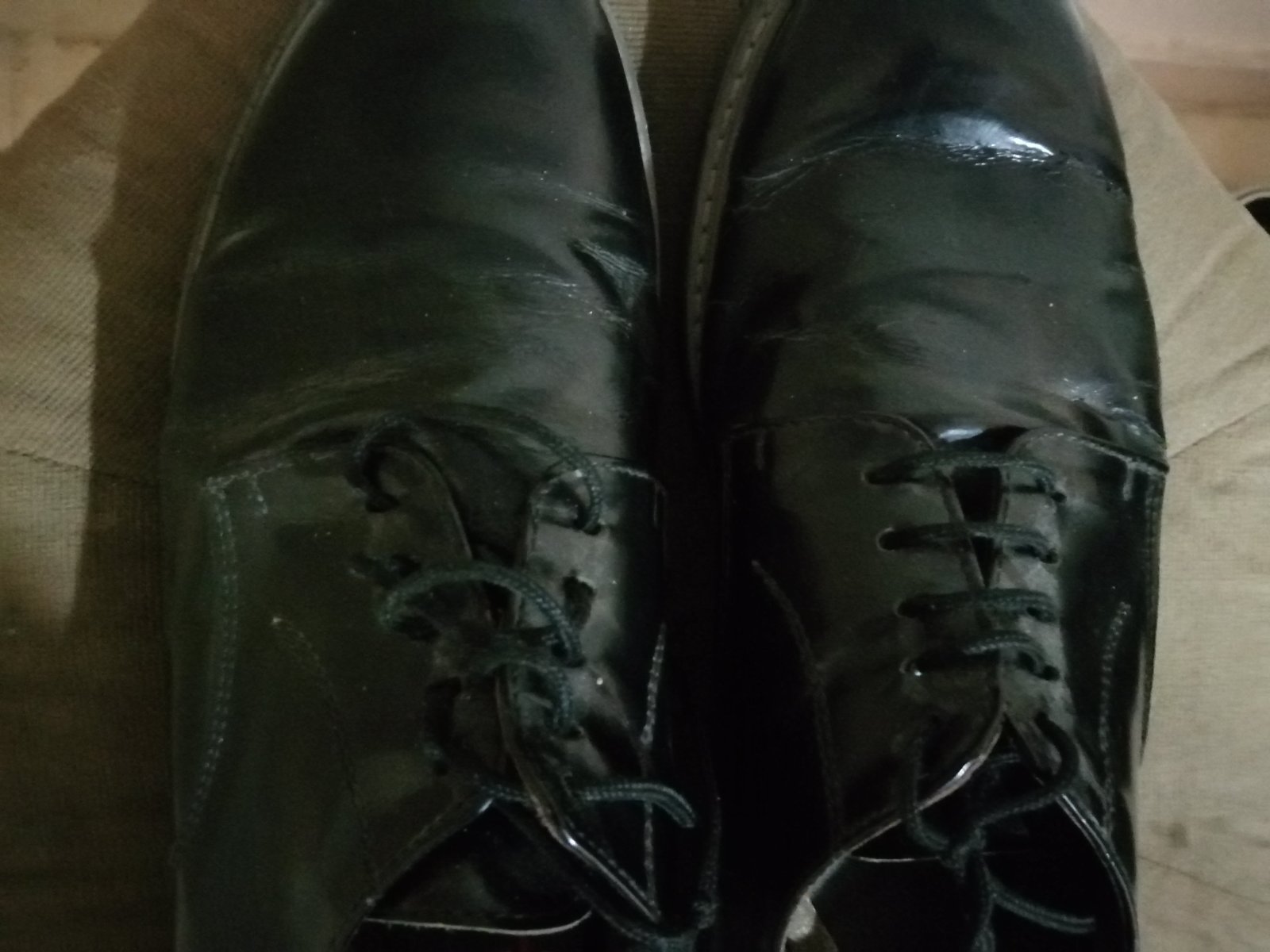 Chaussure habillées