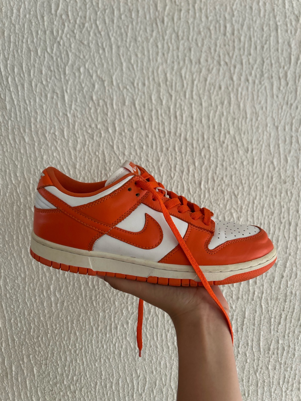 Nike (dunk low)
