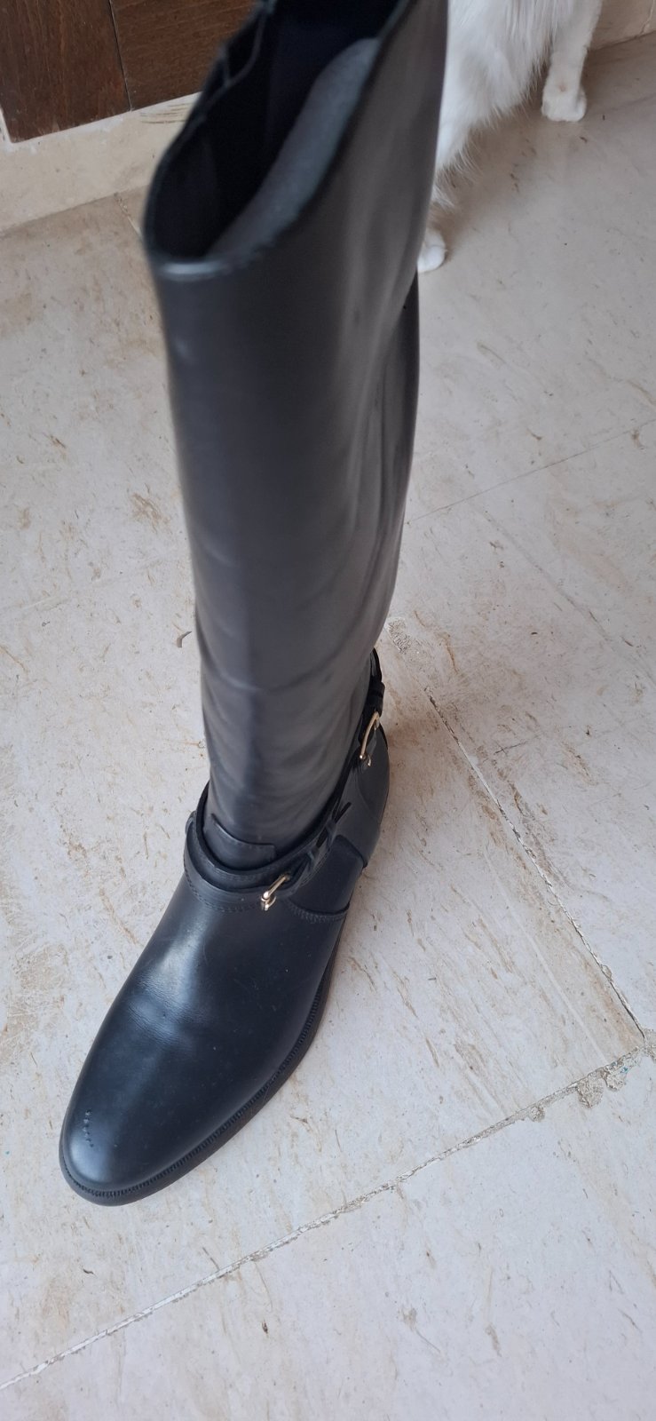 Botte cavalier en cuire Burberry 