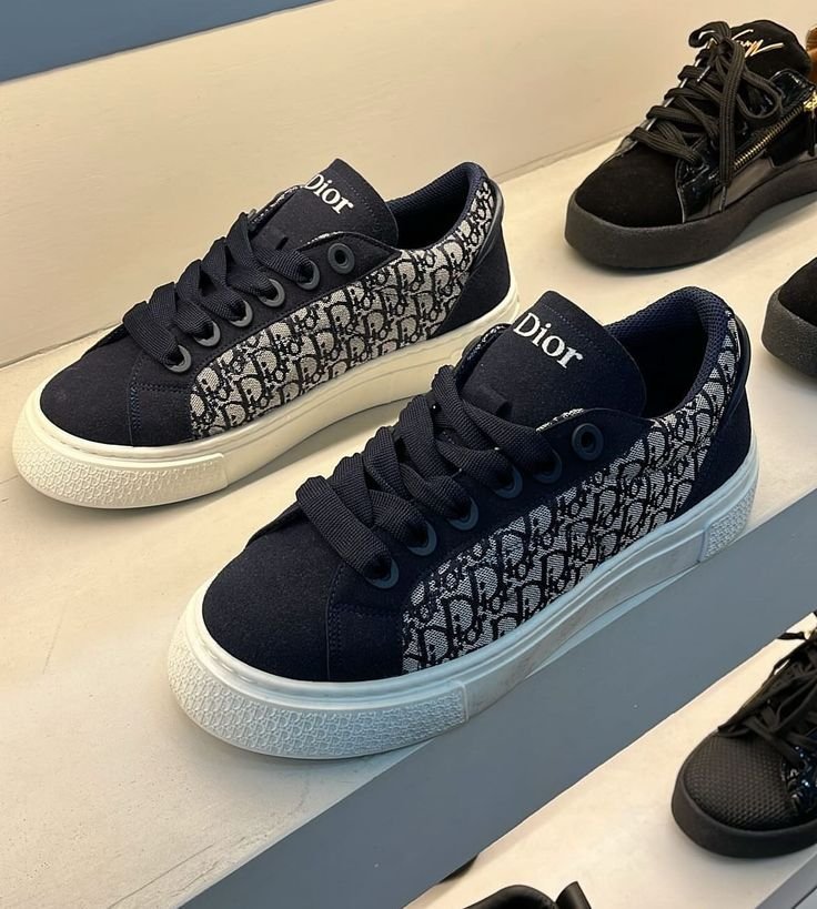 Chaussure dior 