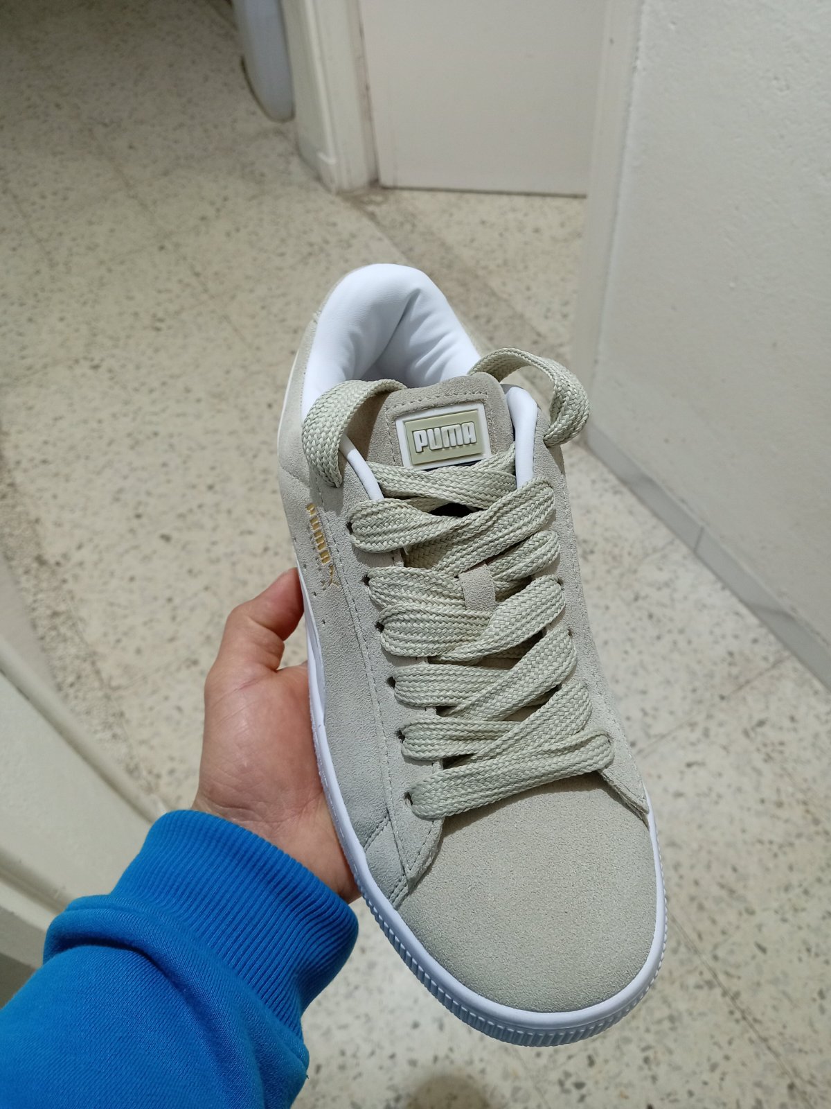 Puma