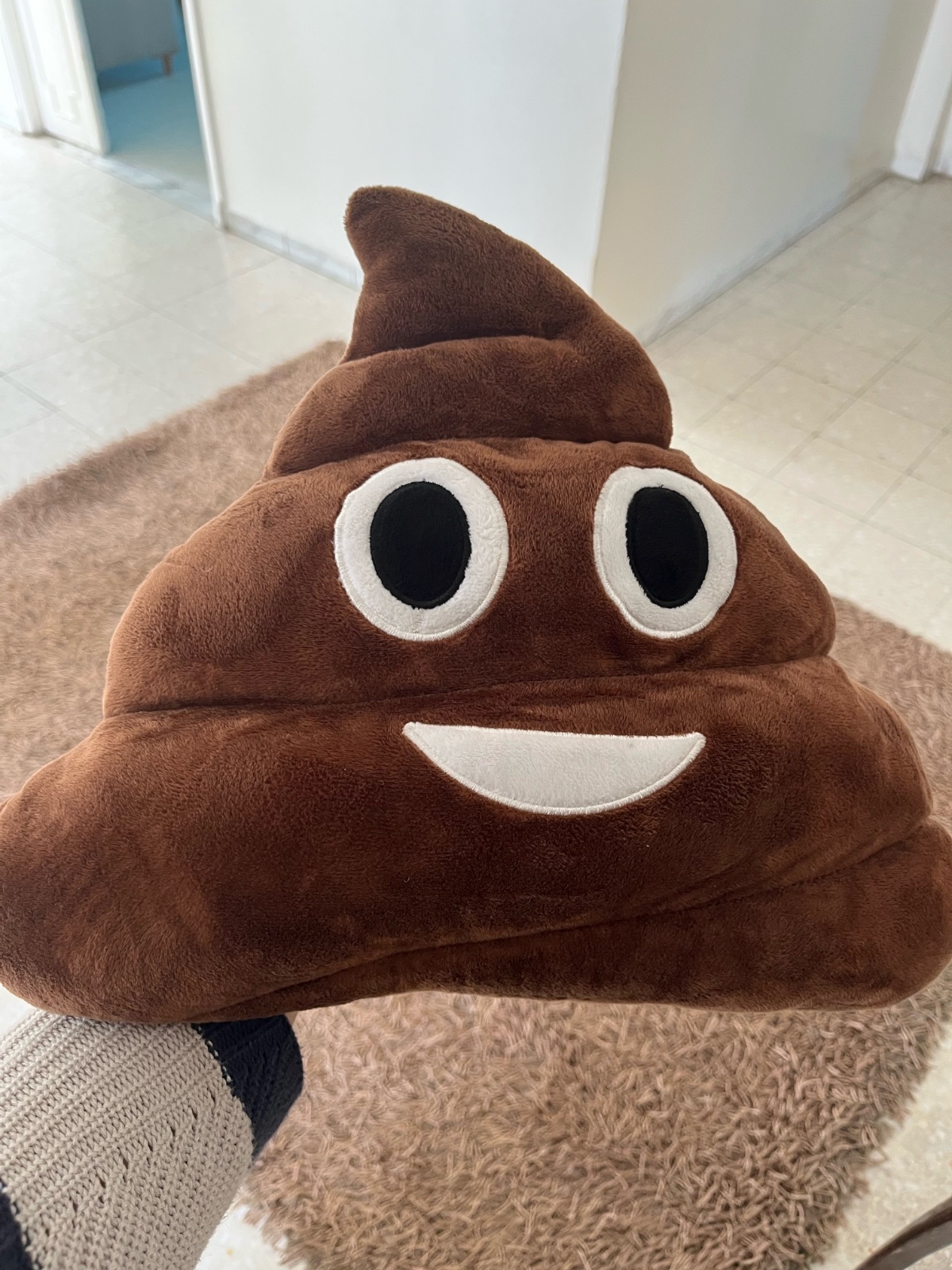 Coussin decoratif 