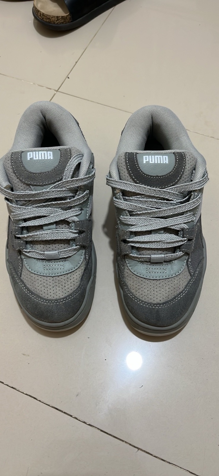 Puma180