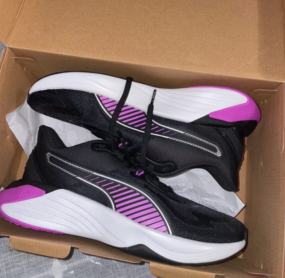 Basket puma