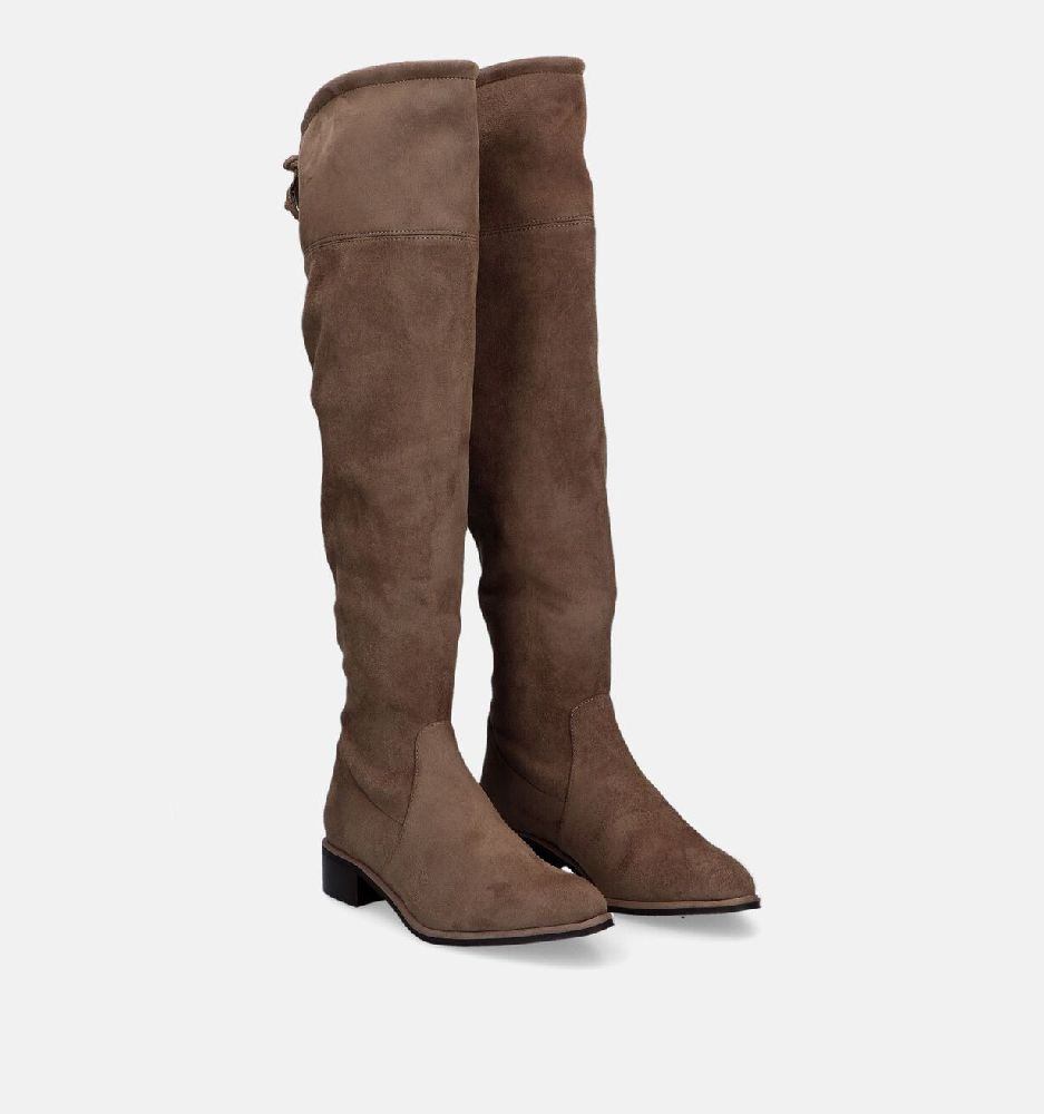 Cuissardes taupe P41 
