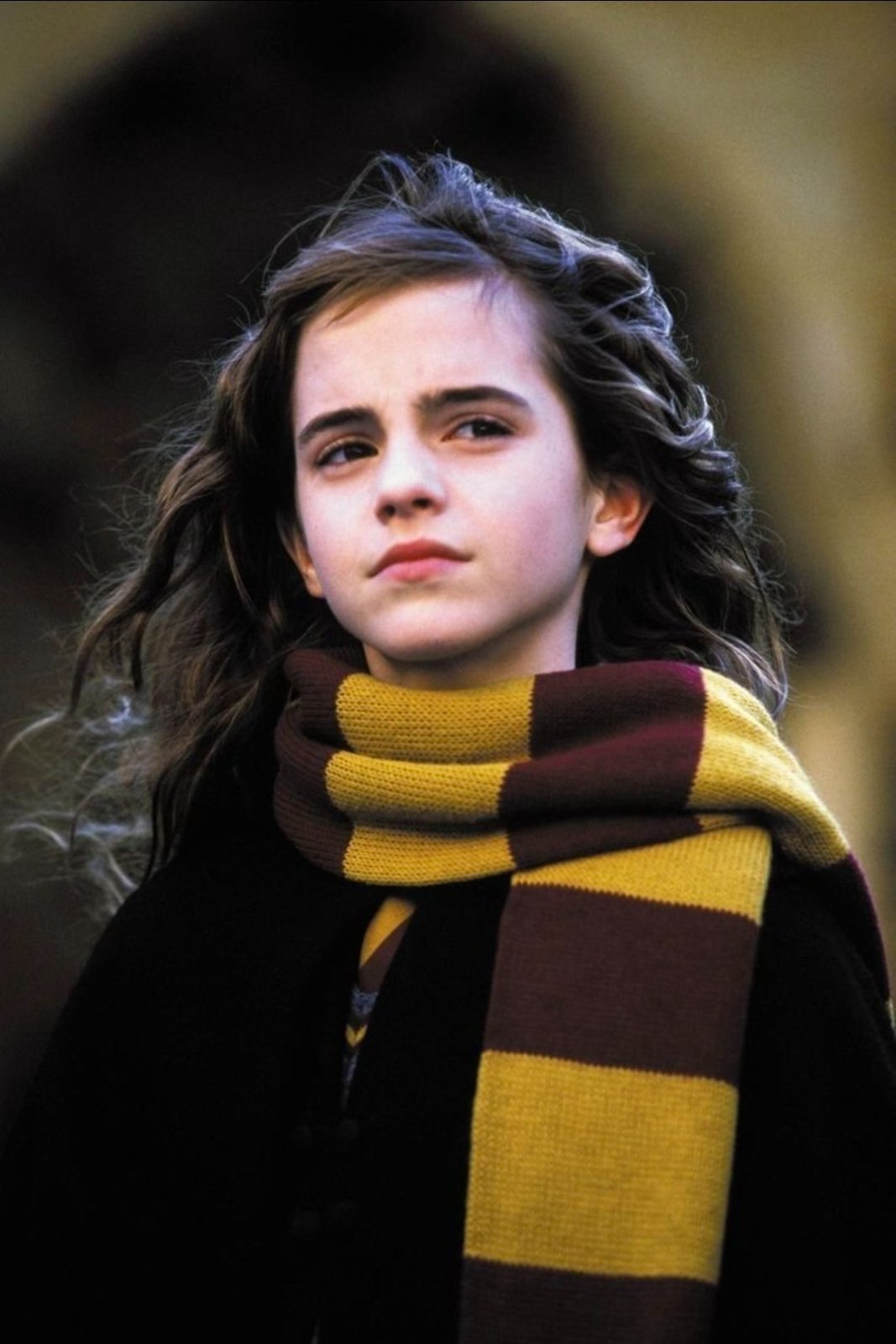 Cache col Harry potter ⚡️🦉