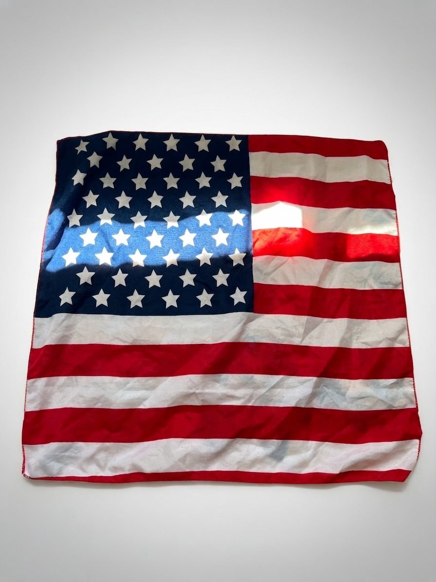 Usa flag 