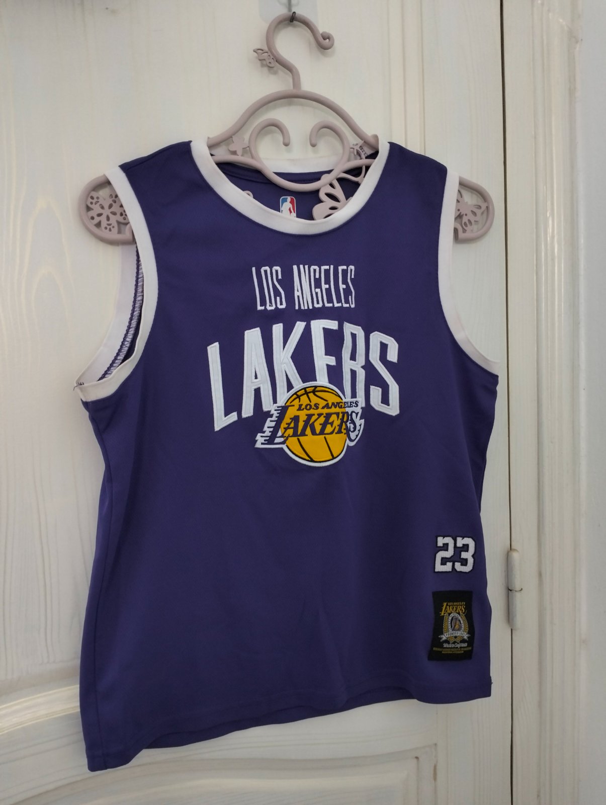 Maillot de basket Los Angeles Lakers #23 - Violet 