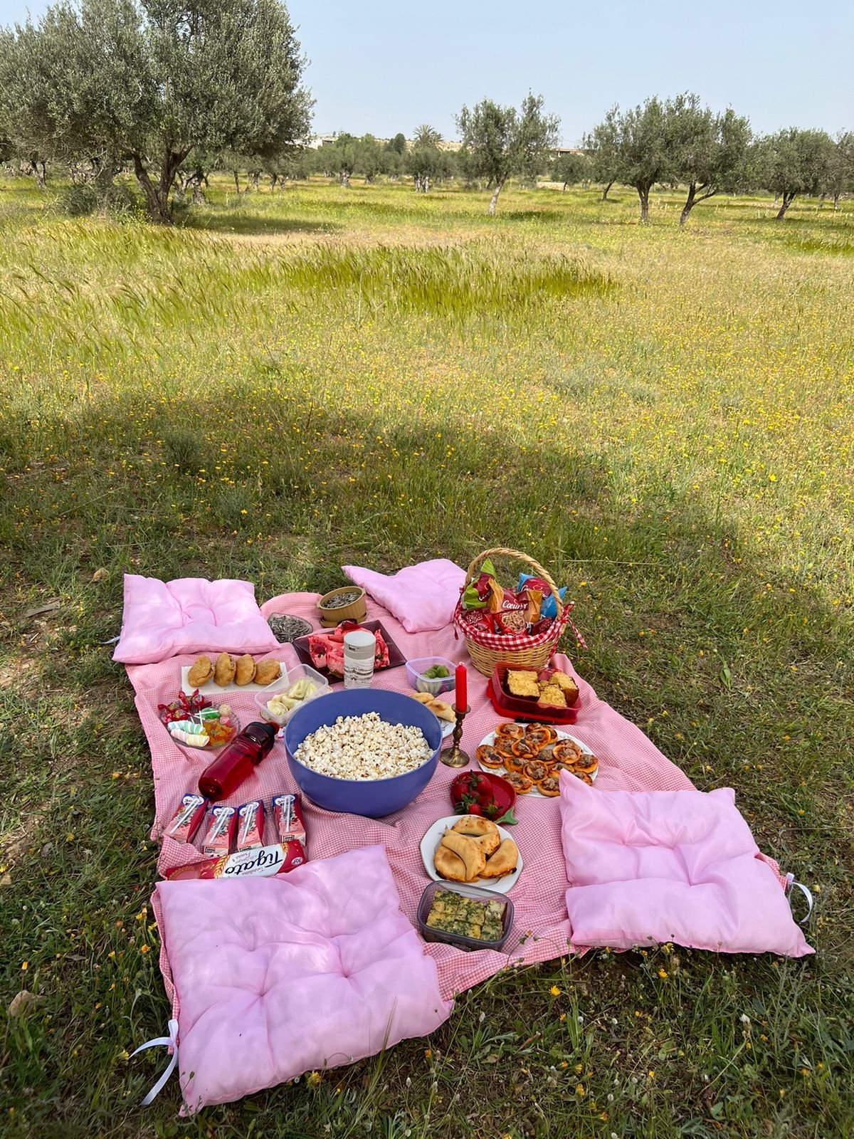 Pack picnic 🌷💐