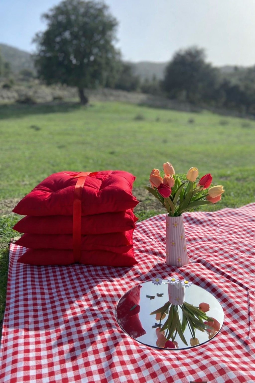Pack picnic 5 pièces nappe et 4 coussins 🧺🍭🌼📸