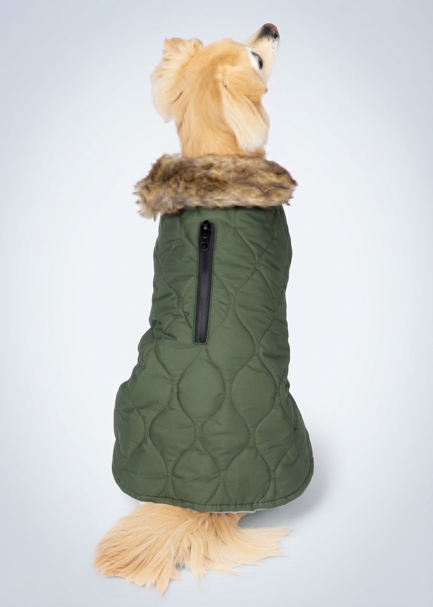 Manteau pour animal