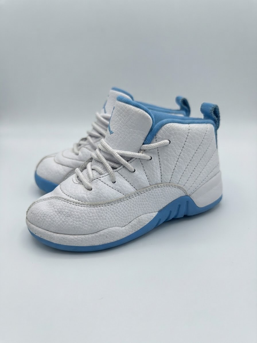 Air jordan 12 