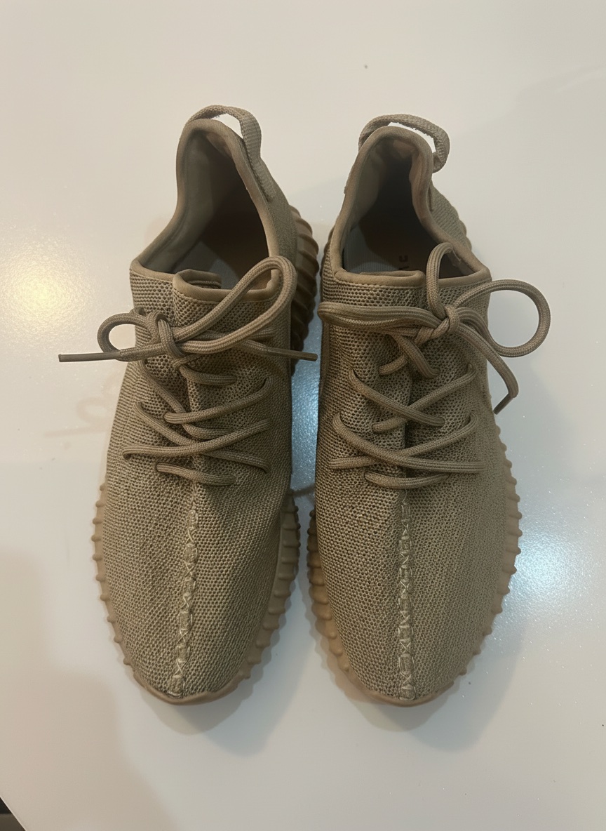 Adidas yeezy boost 350 v2