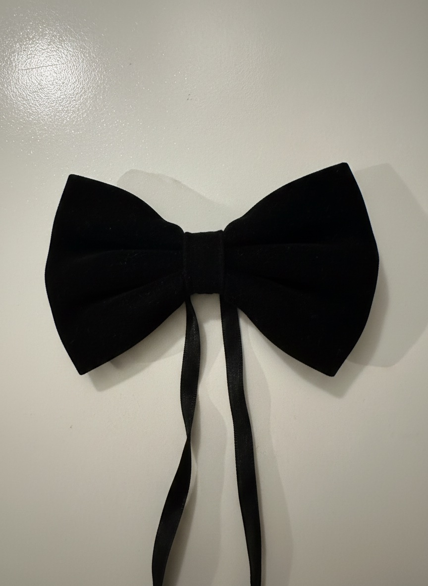 Cravatte papillon 