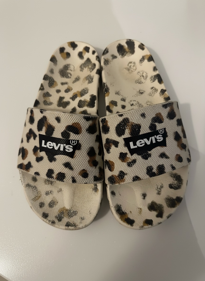 L'evis