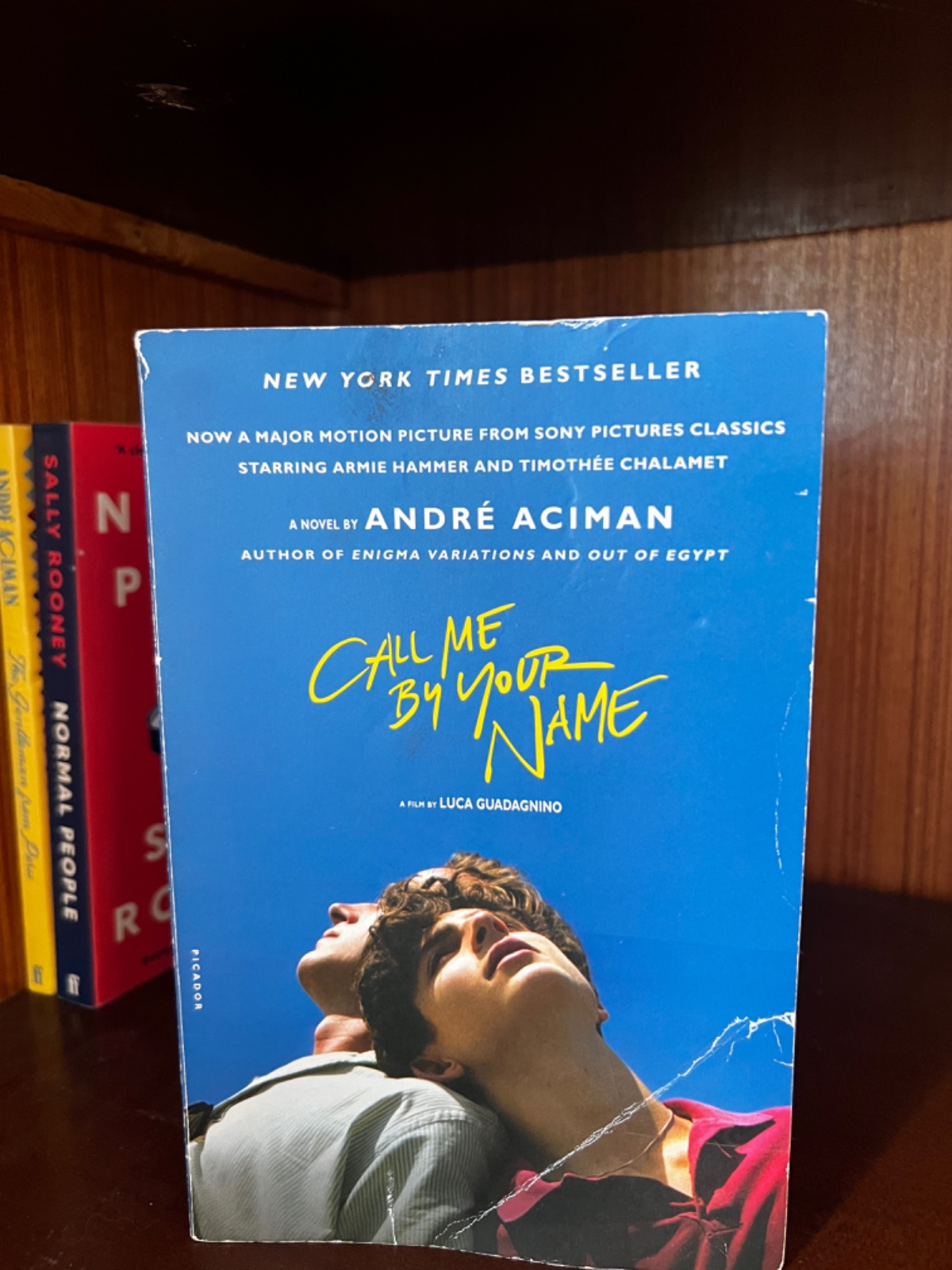 Call me by your name original thrifted book