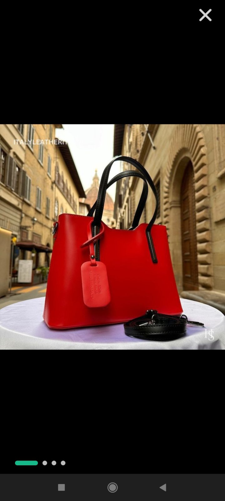 Emily sac 