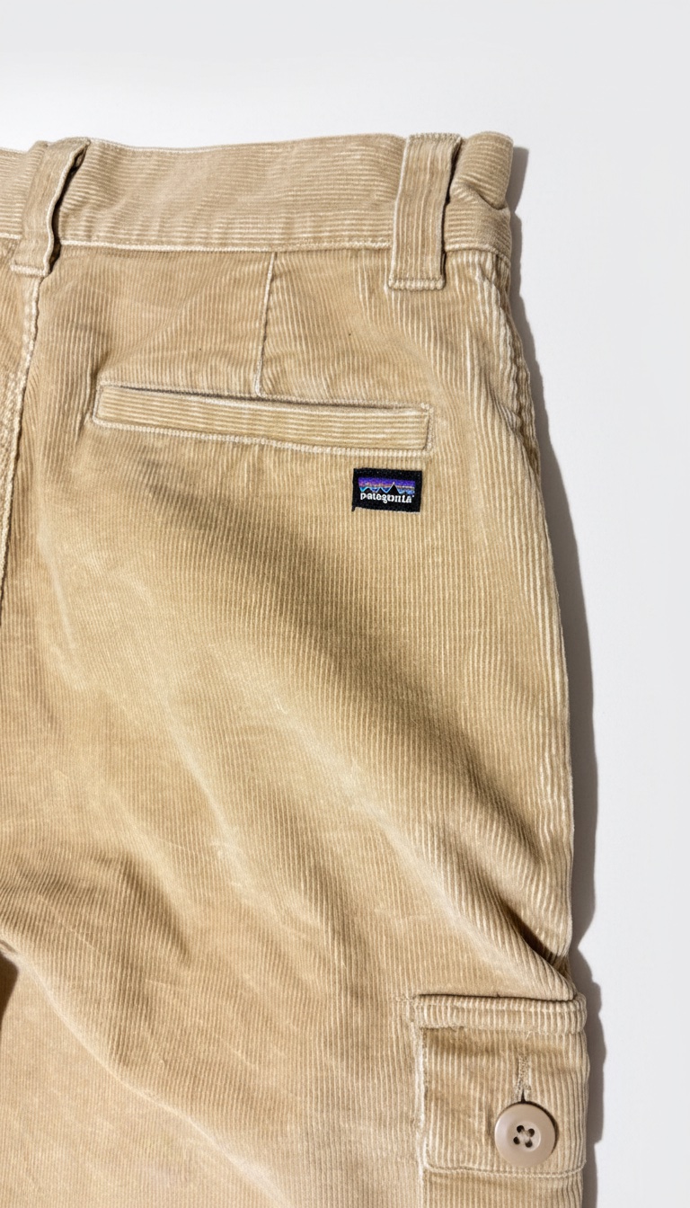 Short patagonia 