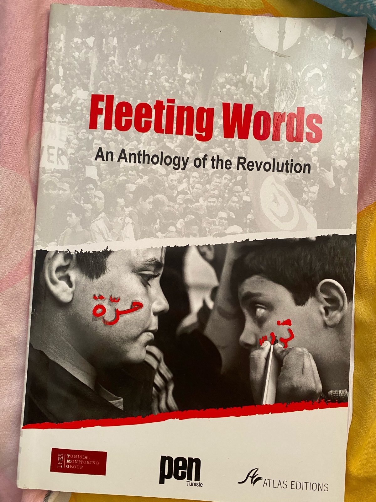 Political book Fleeting Words