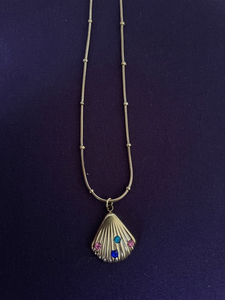 Collier en acier inoxydable 
