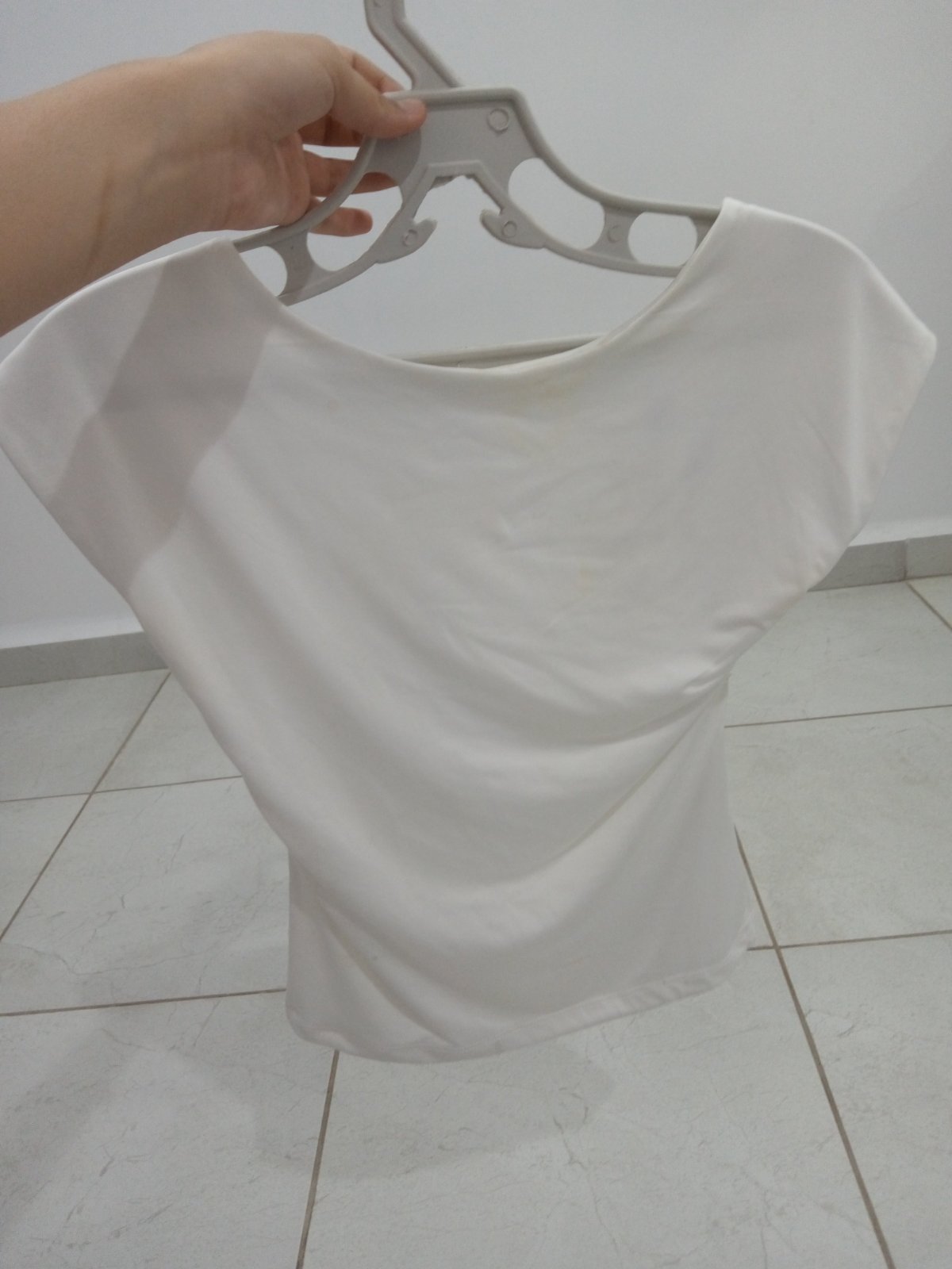 Bull basic berchka