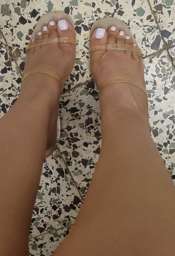Mule steve madden