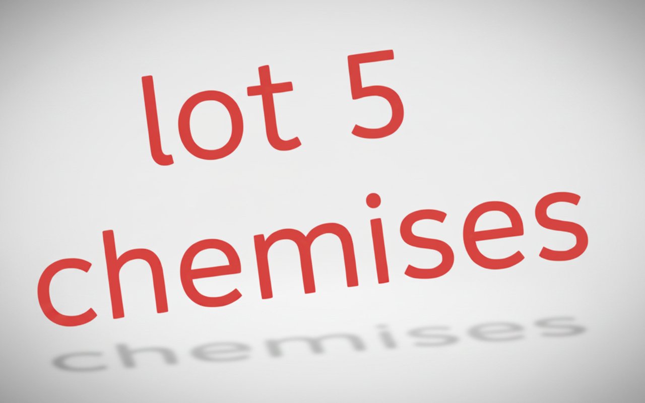 Lot 5 chemises