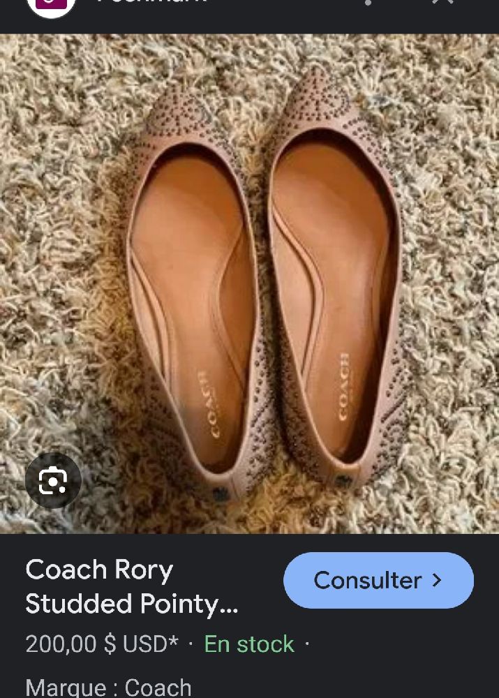 Mocassin coach