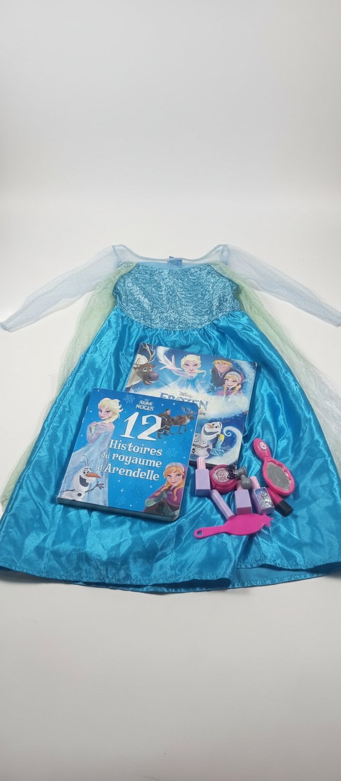 Lot reine des neiges 