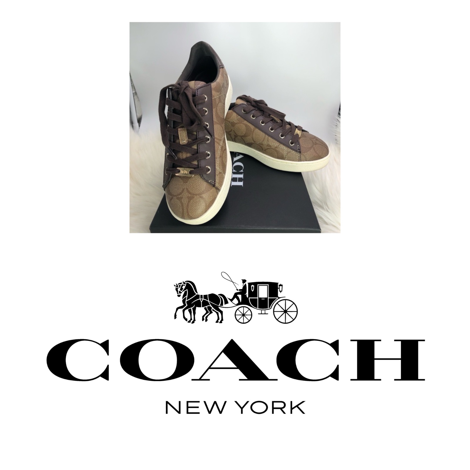 Coach 