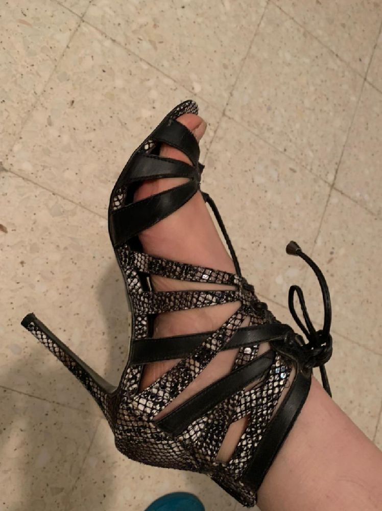 talon serpenti