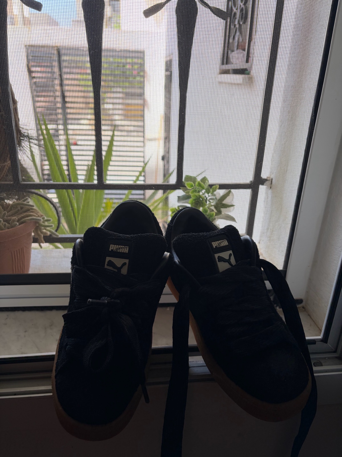 Puma suede xl