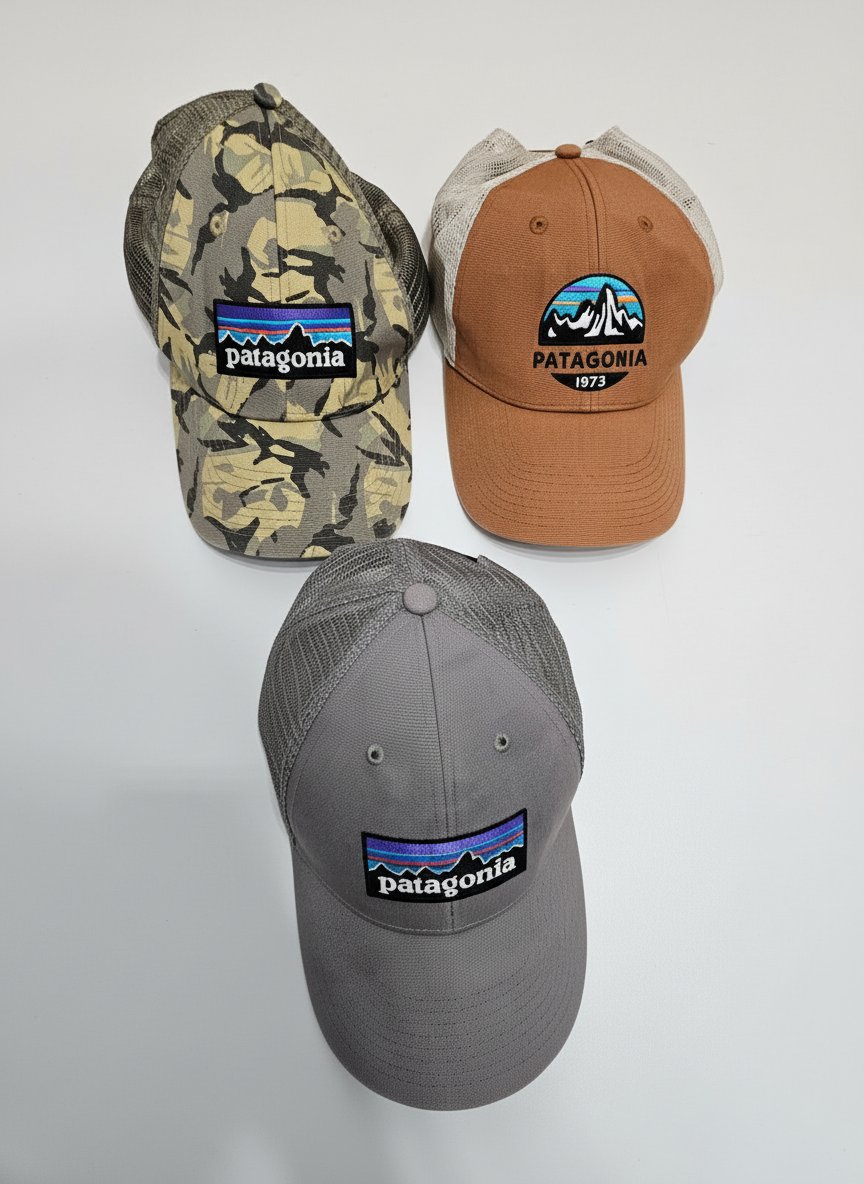 Lots casquette Patagonia 