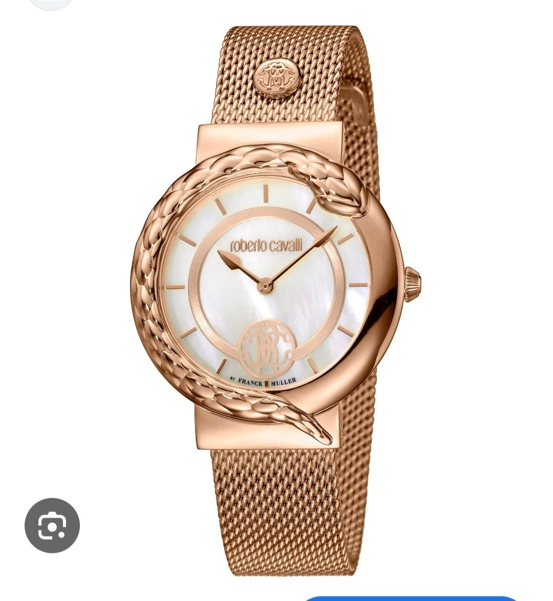 Montre Roberto Cavalli