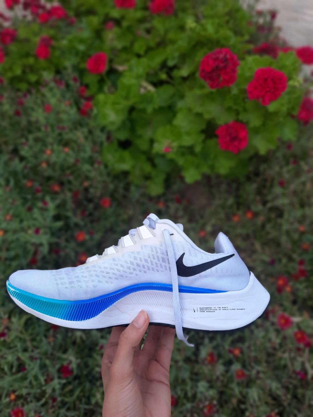 Espadrilles d'entraînement nike zoom pegasus pointure 37 peu porté à prix très raisonnable ❤️