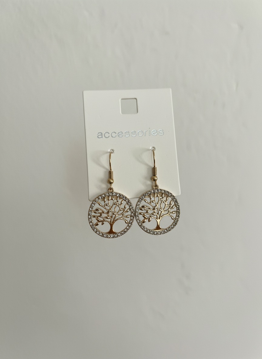 Boucles d'oreilles acier inoxydable 