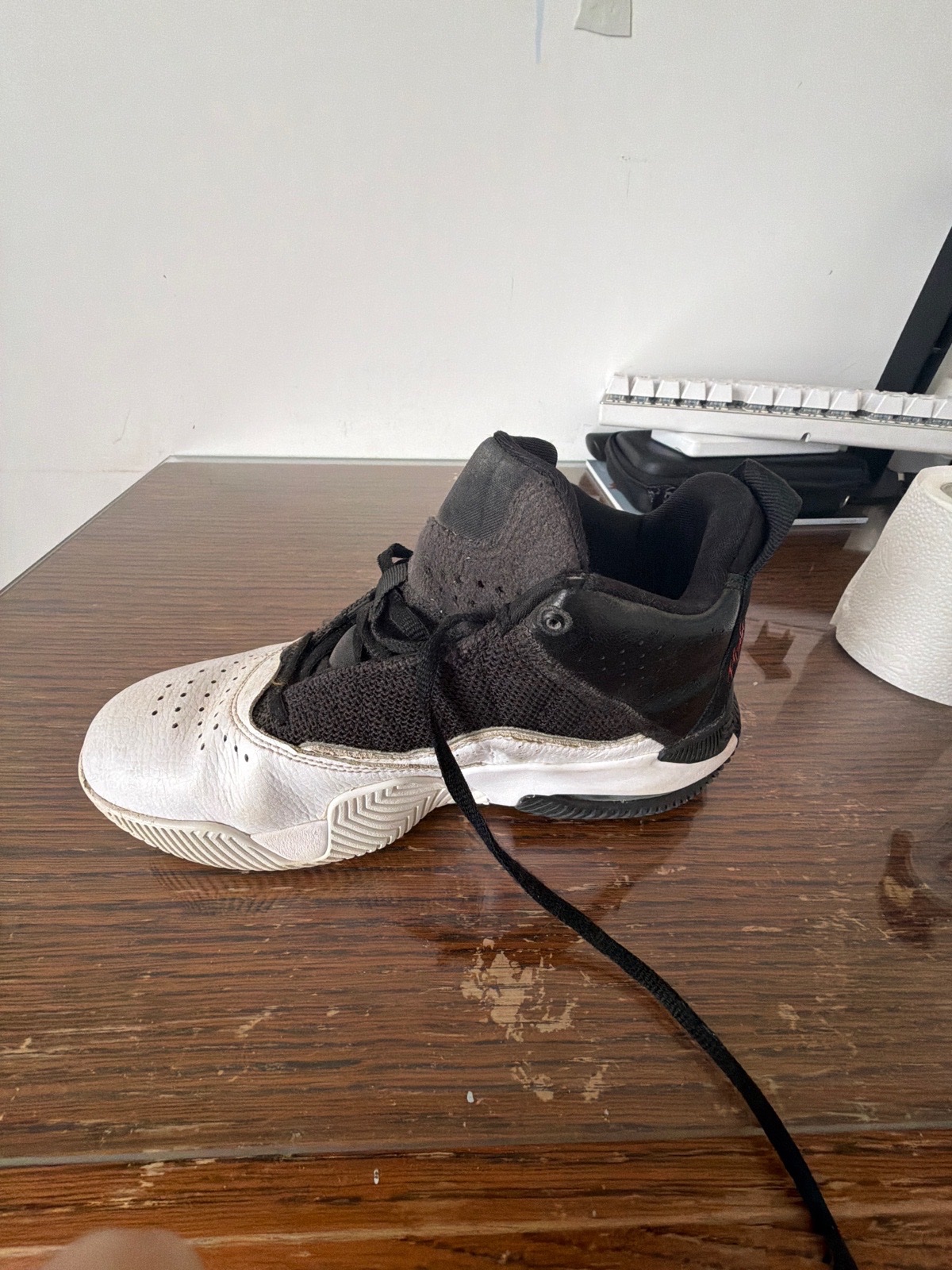 Jordan flight 