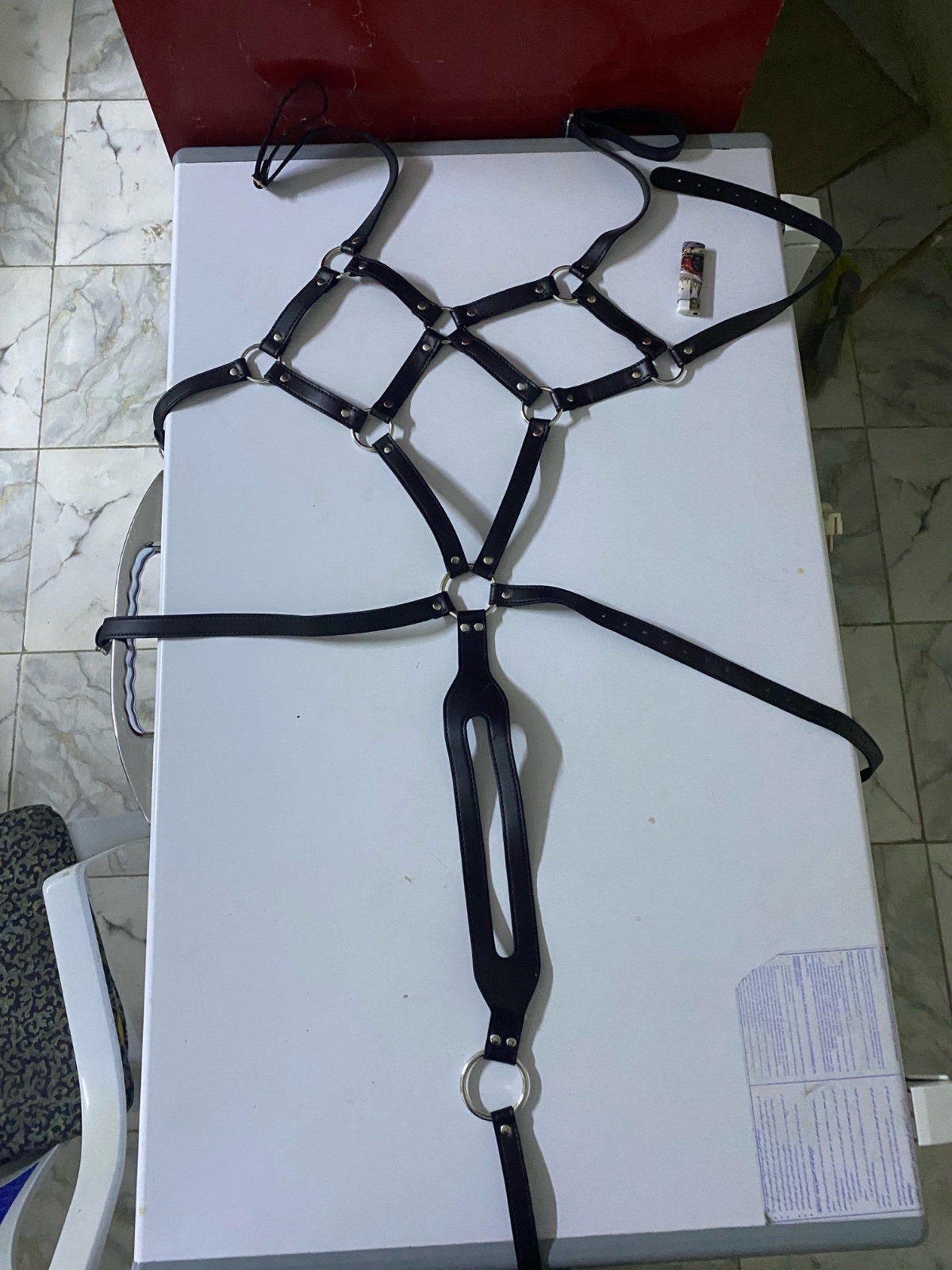 Body harness