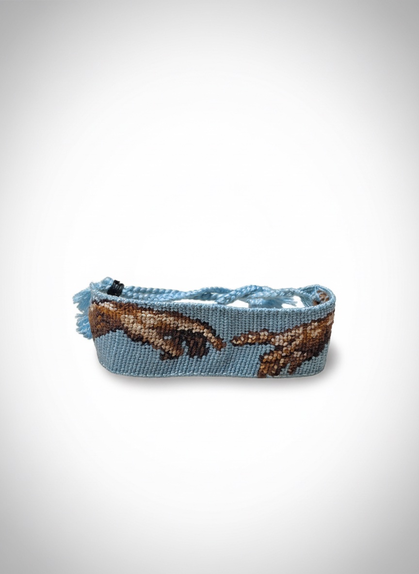 Bracelet brésilien