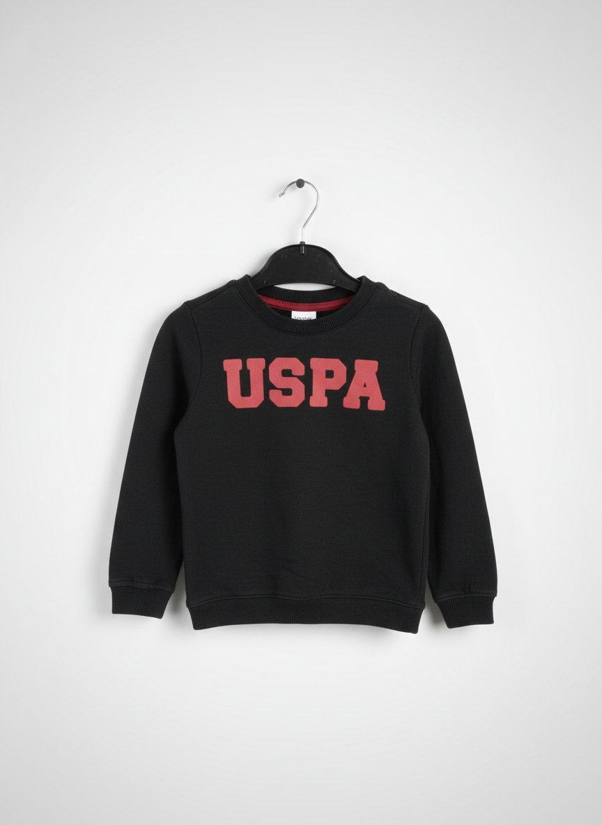 Pull US POLO original importé 