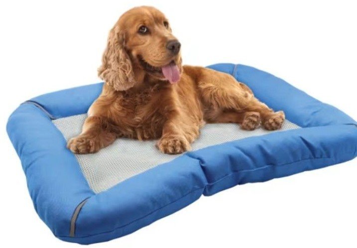 Coussin rafraichissantb imperméable pour chien 🐶🐕