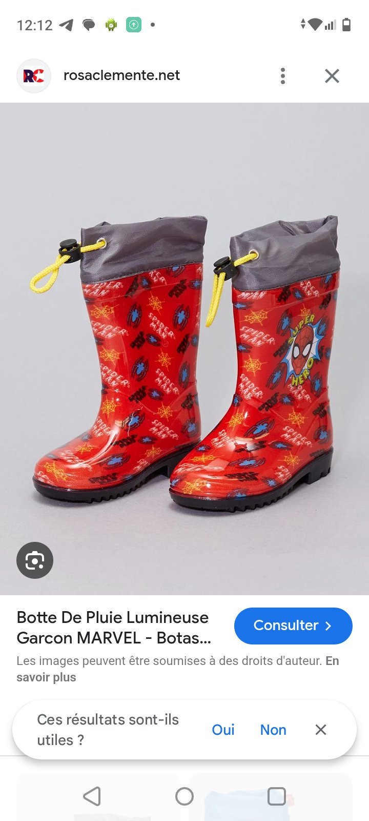 Bottes de pluie 