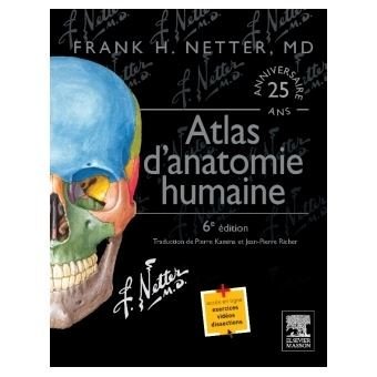 Atlas de l'anatomie humaine Netter