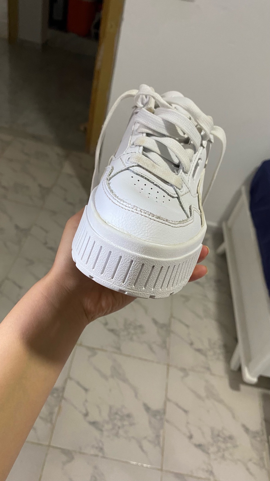 Puma en 🤍