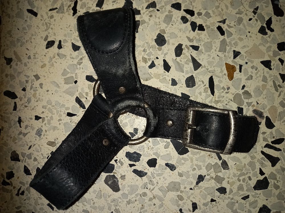 accessoires pour chien 