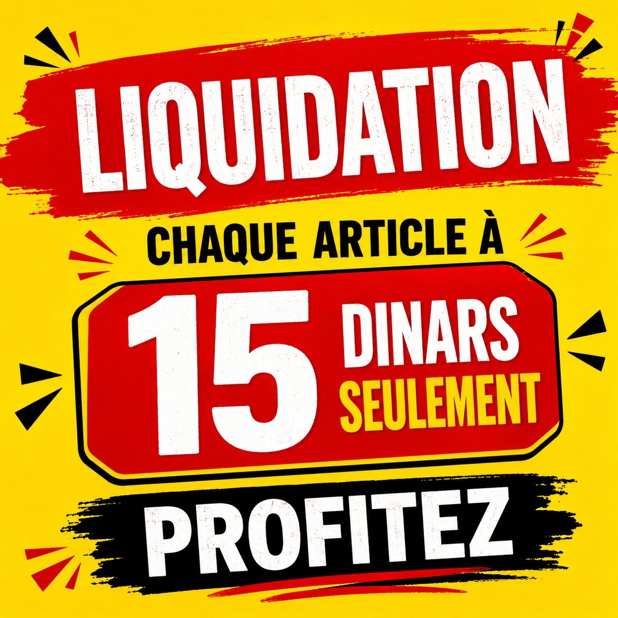 15dt chaque article