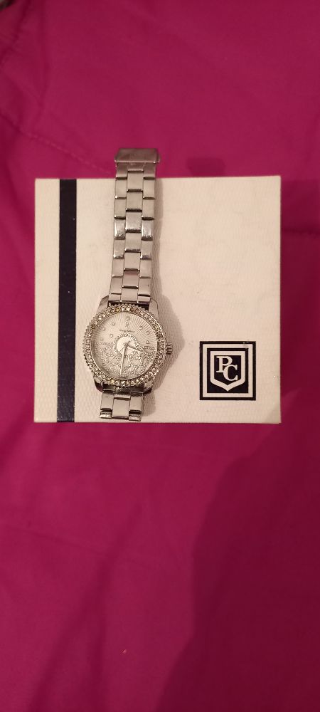 Montre femme de la marque pierre cardin 