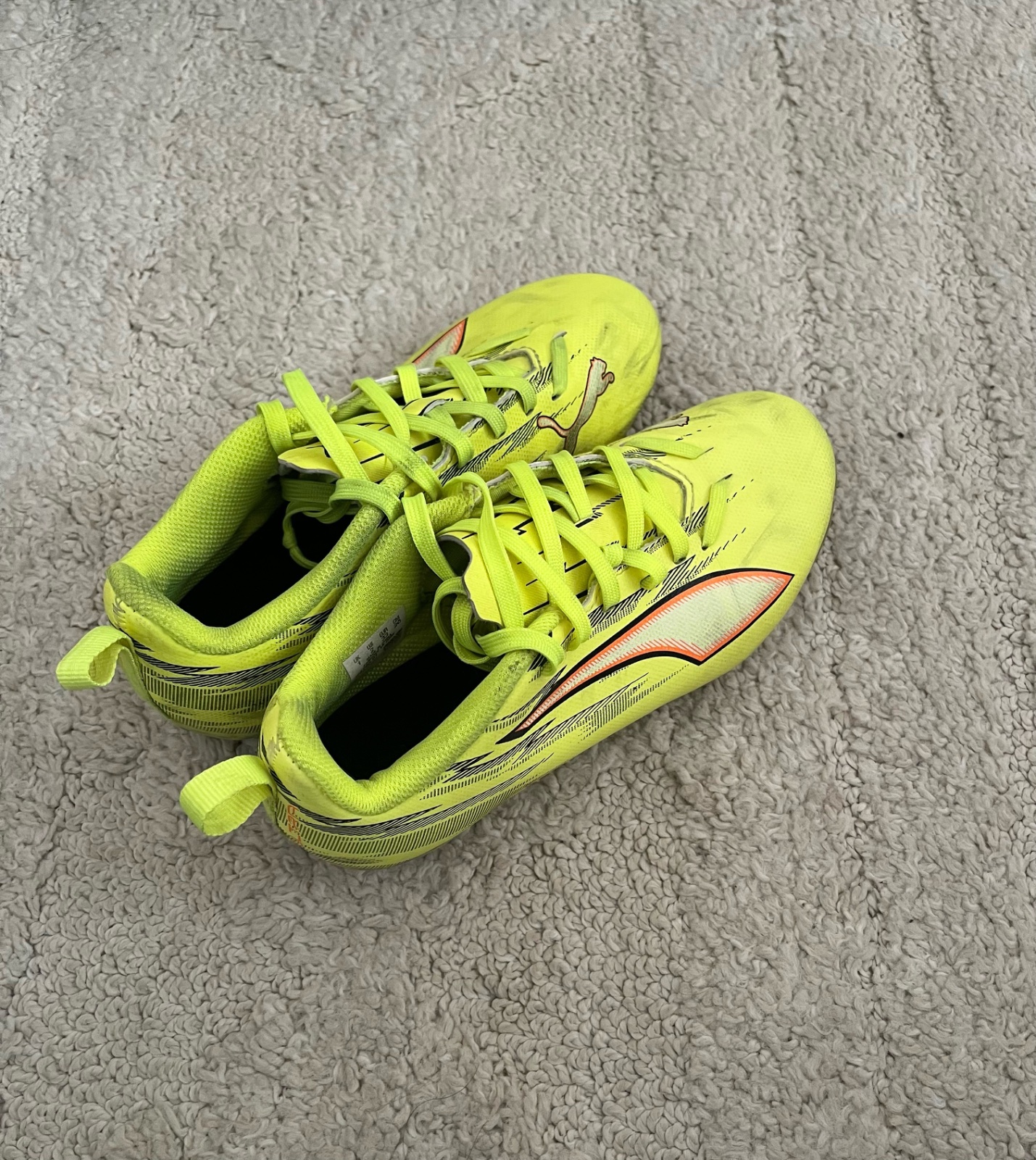 Crampon
