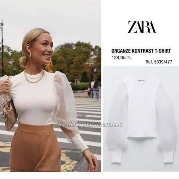 Zara Organza Top